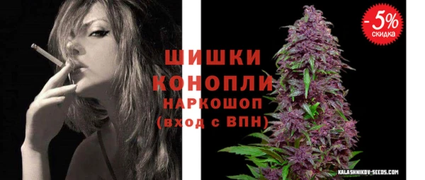стаф Инта