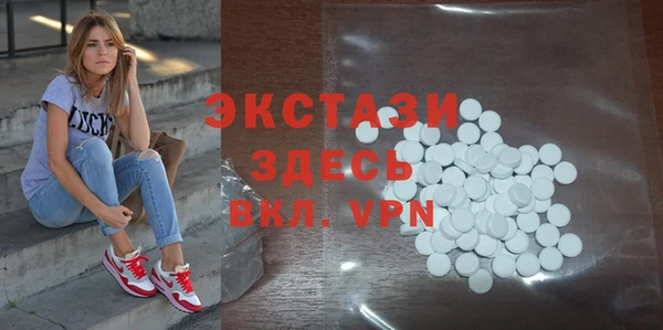 стаф Инта