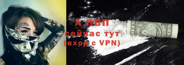 a pvp Инсар