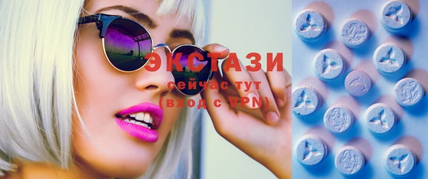 стаф Инта