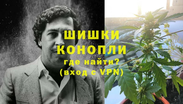 стаф Инта