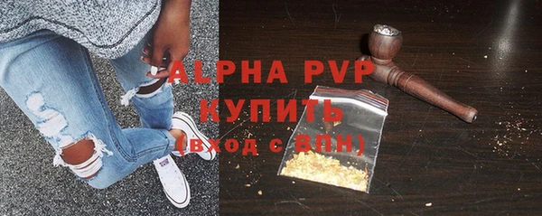 стаф Инта