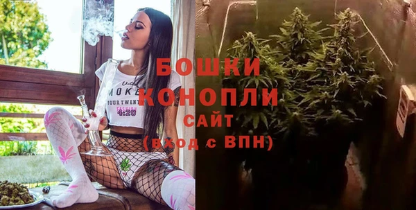 стаф Инта