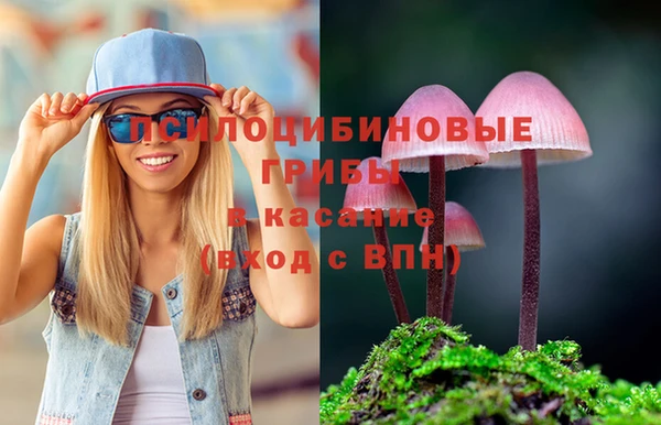 a pvp Инсар
