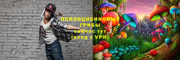 a pvp Инсар