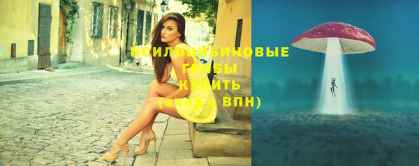 стаф Инта